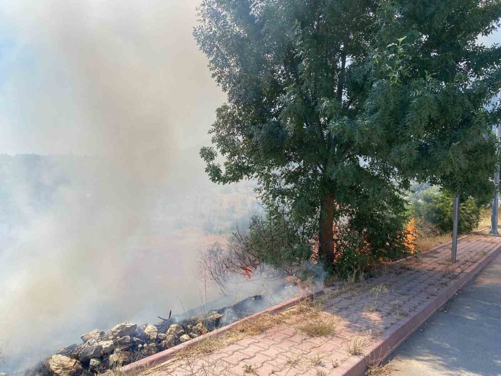 Otluk alanda yangın çıktı, hızlı müdahaleyle bahçeler kurtarıldı