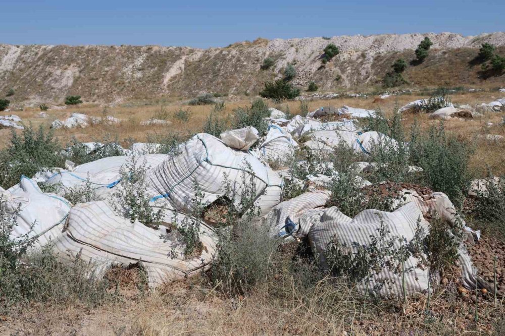 Valilik uyardı, işletmeler dinlemedi: Etrafı çürük kokusu sardı