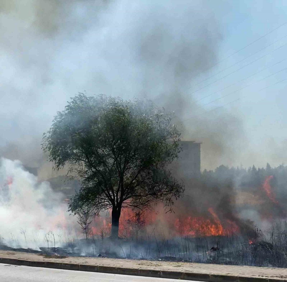 Yangından geriye utanç manzarası kaldı