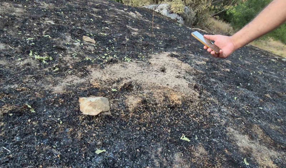 Yemyeşil alanlar saatler içinde siyaha döndü