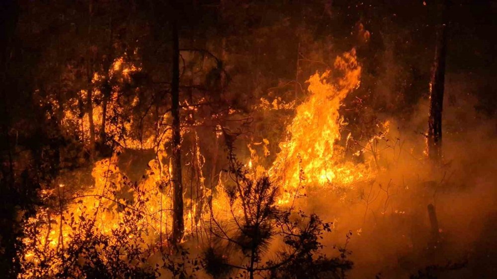 Yemyeşil alanlar saatler içinde siyaha döndü