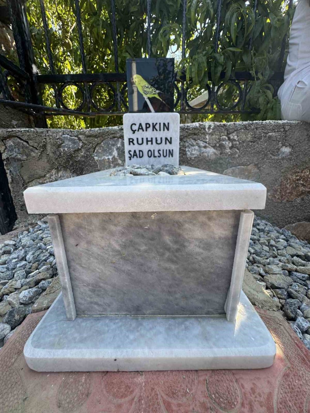 6 yıl besledikleri muhabbet kuşuna mermerden mezar yaptılar