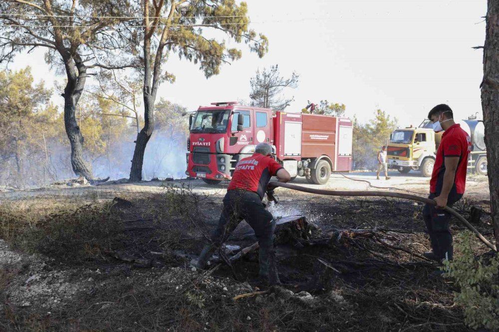 Belediyelerin orman yangını seferberliği