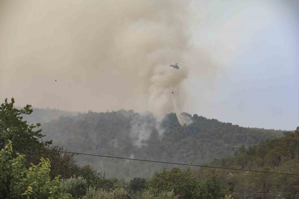 Belediyelerin orman yangını seferberliği