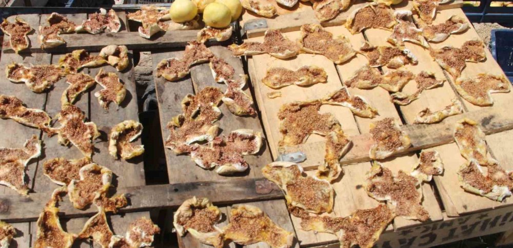 Beyaz İncir Yüz Güldürdü: Yaşı 150 Lira, Kurusu 1500 Lira