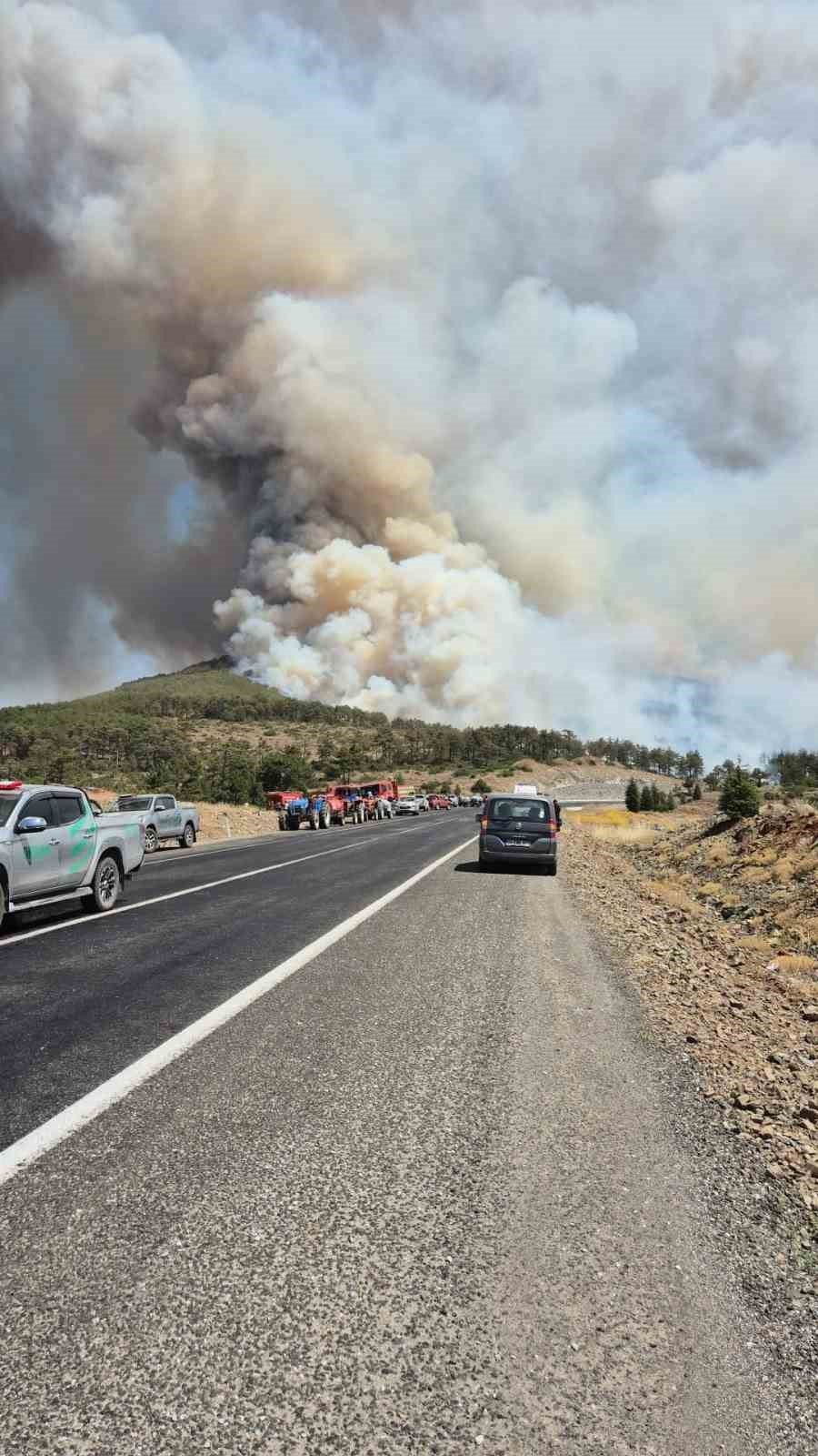 Bursa'da Kontrol Altına Alınan Orman Yangını Yeniden Alevlendi