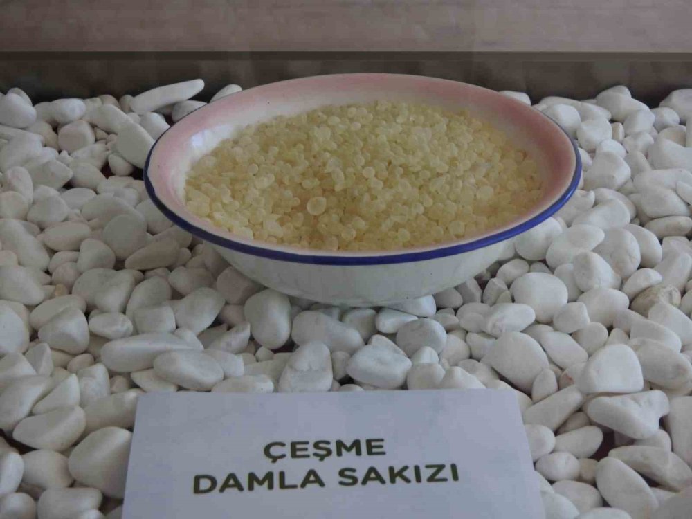 Sakız artık ada değil yarımada