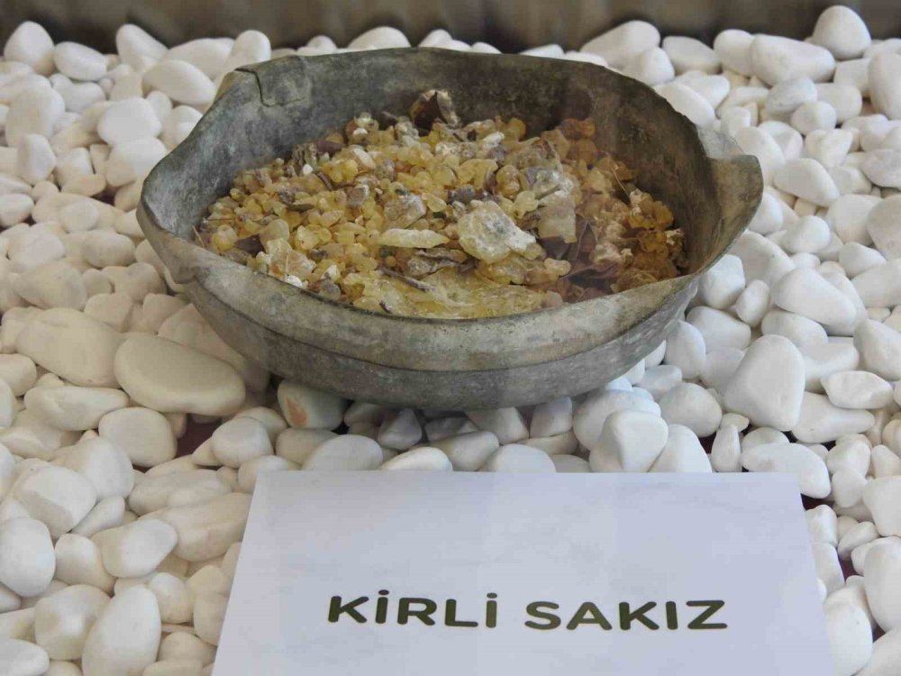 Sakız artık ada değil yarımada