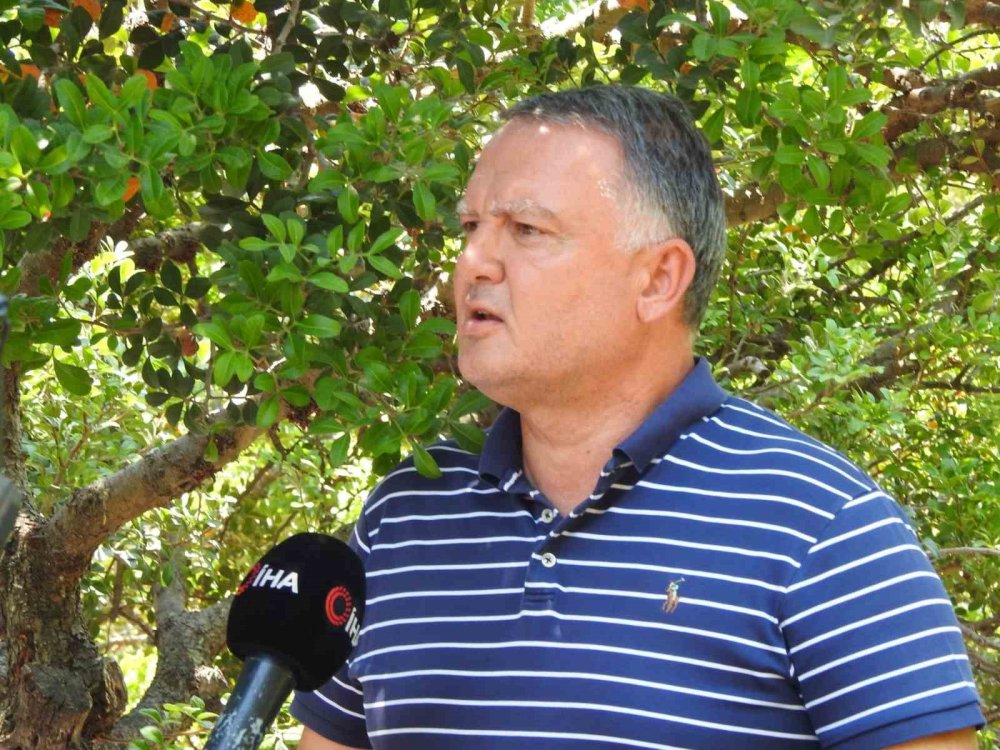 Sakız artık ada değil yarımada