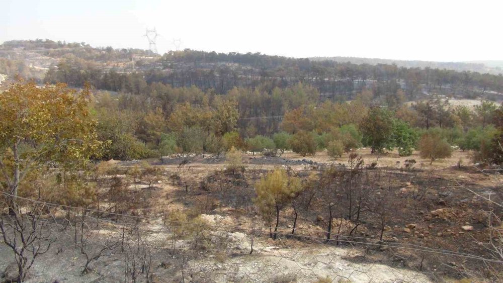 Silifke’de Orman Yangını Kontrol Altına Alındı