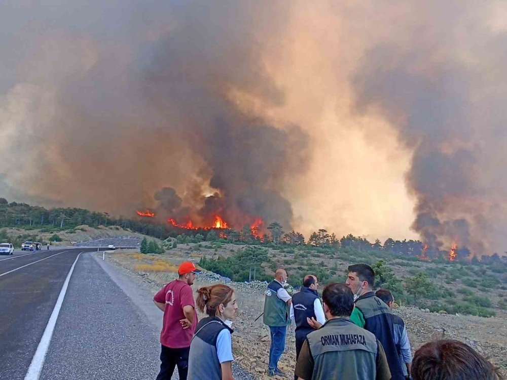 6 farklı noktada aynı anda: Bursa yangını nasıl başladı?