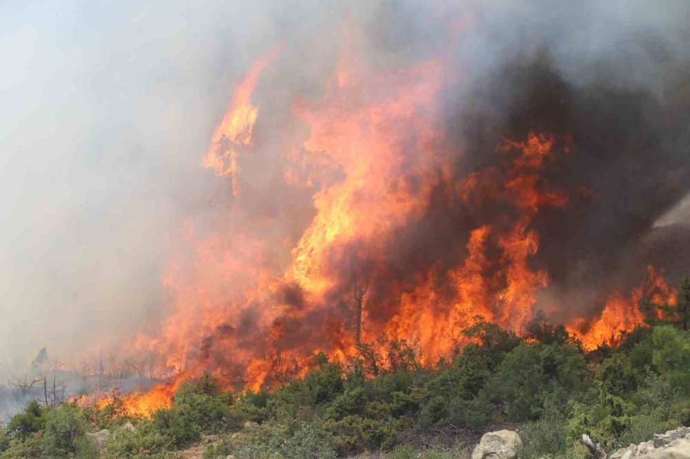 Bursa yangını yeniden alevlendi