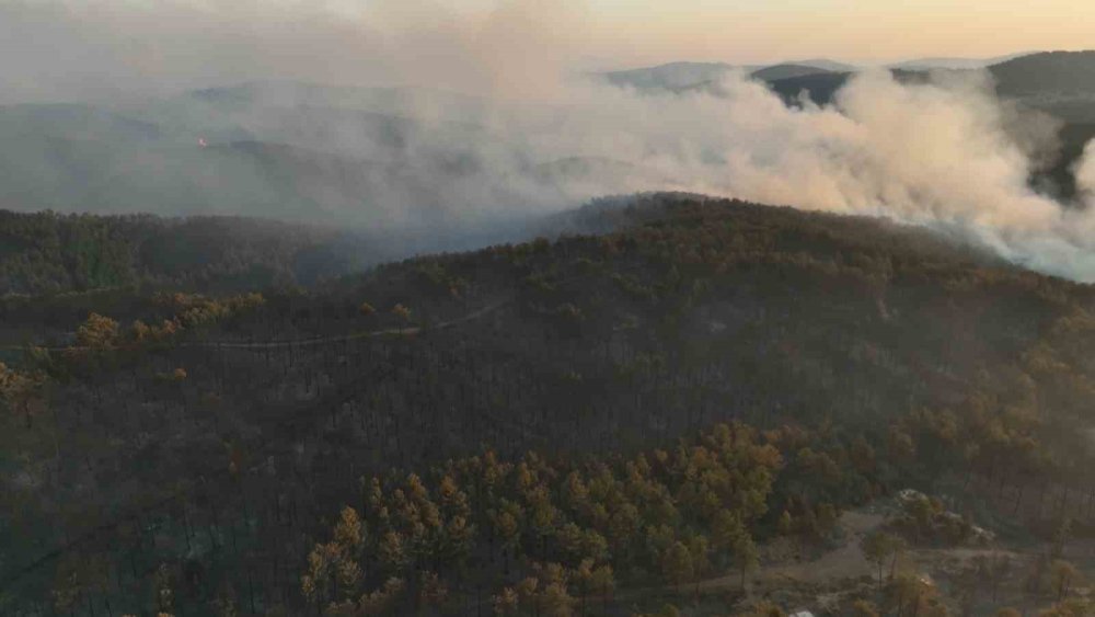 Bursa’nın yemyeşil dağ ilçeleri griye döndü