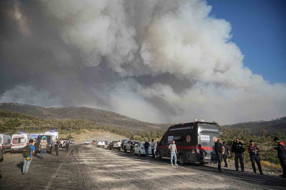 Bursa’nın yemyeşil dağ ilçeleri griye döndü
