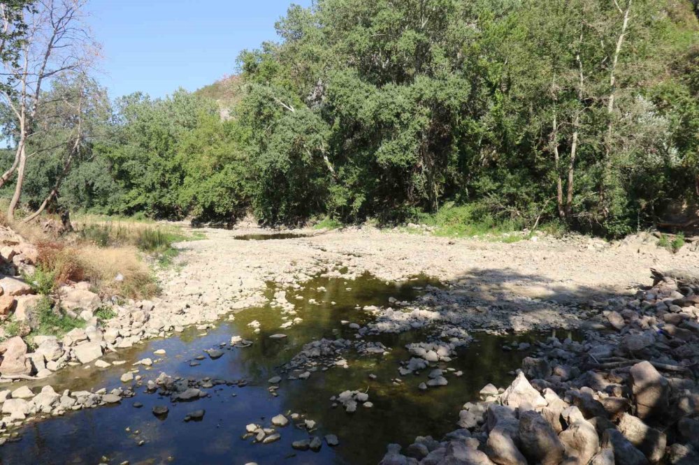 Orman yangınları için su alınan Düzmeşe Benti kurudu