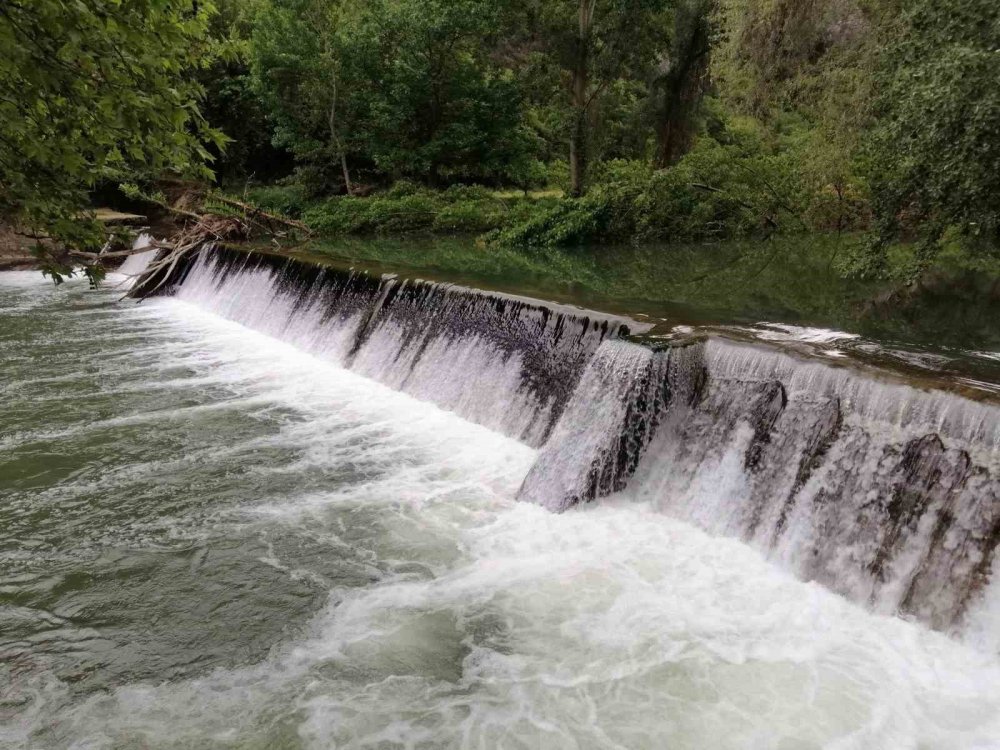 Orman yangınları için su alınan Düzmeşe Benti kurudu