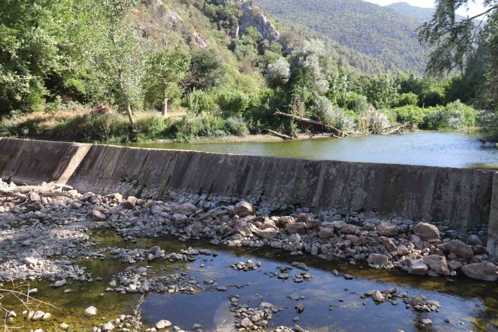 Orman yangınları için su alınan Düzmeşe Benti kurudu