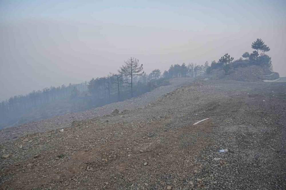 Rüzgar yok, duman Bursa'yı esir aldı