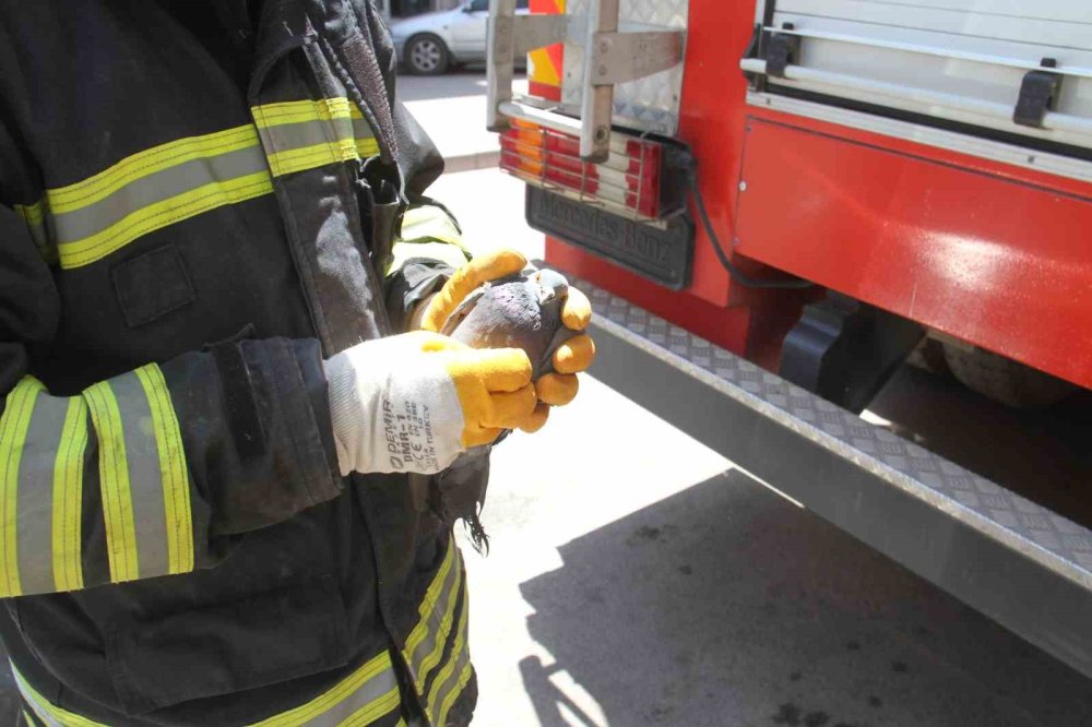 Pencere korkuluğuna sıkışan güvercini itfaiye kurtardı