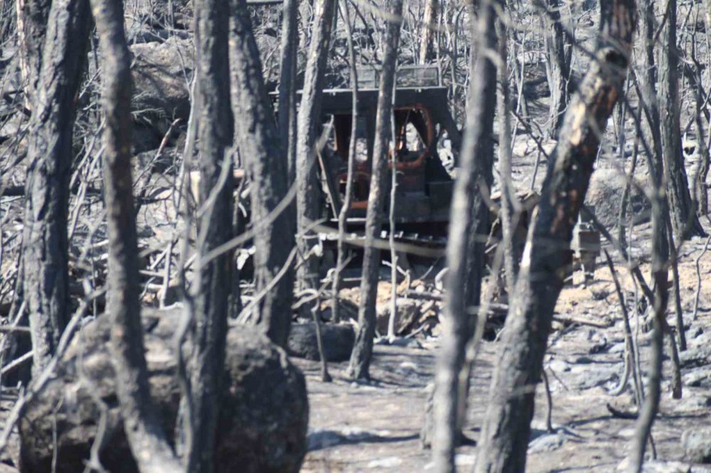 Yangının şiddeti araçların demirini eritti