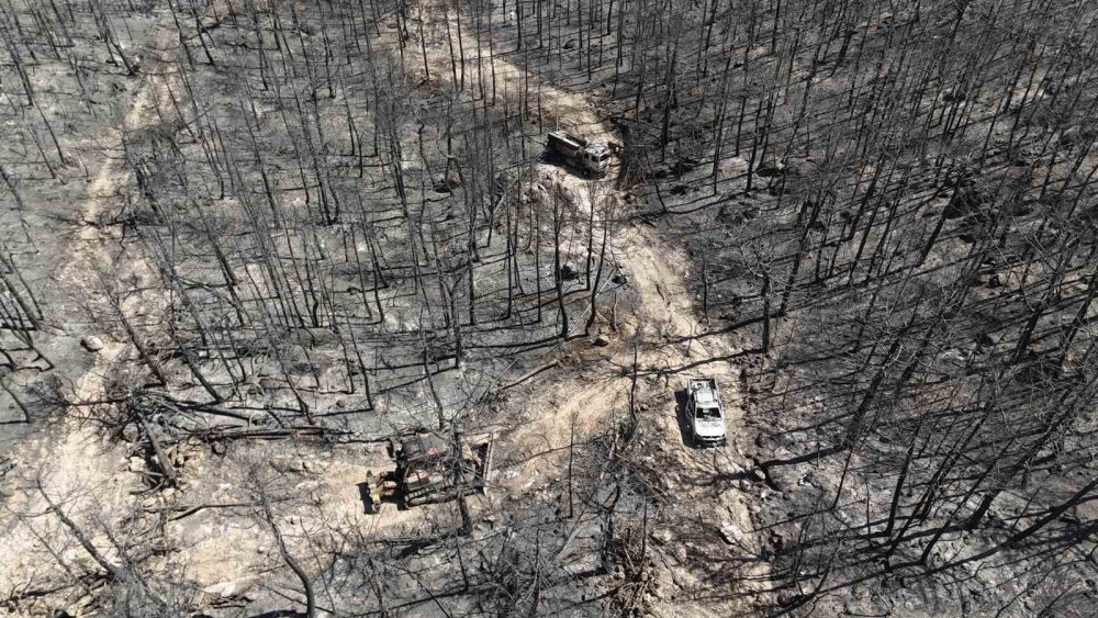 Yangının şiddeti araçların demirini eritti