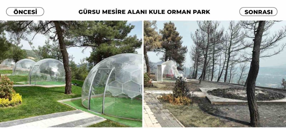 Gürsu'daki tarihi yangının ardından ortaya çıkan görüntüler yürek burktu