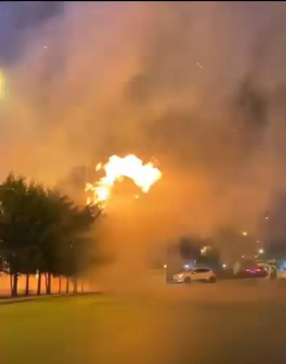 Çocukların torpille oyunu ağaçlık alanı tutuşturdu