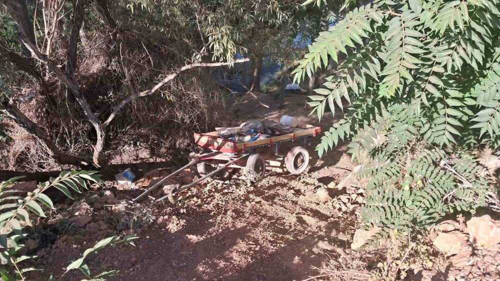 Atın Korkmasıyla Şarampole Yuvarlanan At Arabasındaki 4 Kişi Yaralandı