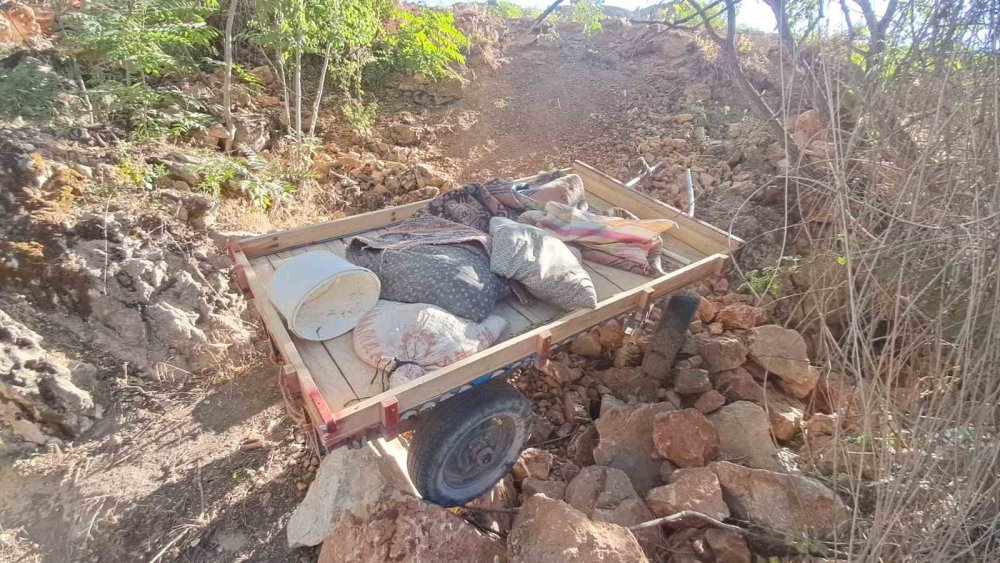 Atın Korkmasıyla Şarampole Yuvarlanan At Arabasındaki 4 Kişi Yaralandı