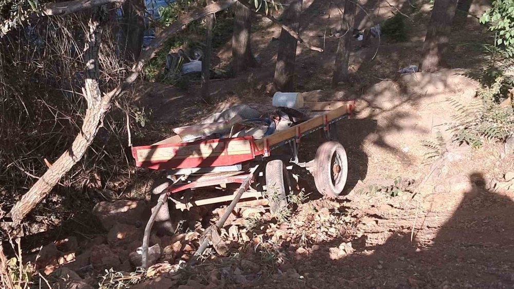 Atın Korkmasıyla Şarampole Yuvarlanan At Arabasındaki 4 Kişi Yaralandı