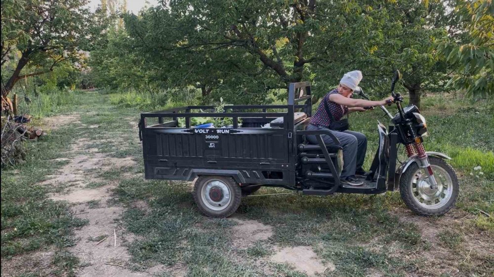 Mazot fiyatları artınca, patpatın tahtı da sallandı