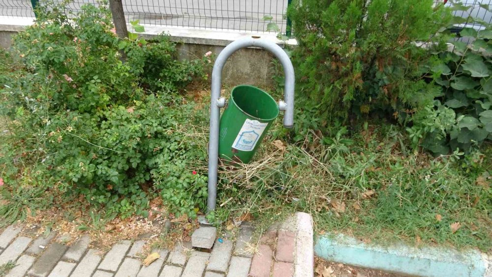 Osmanlı'nın büyük alimi Molla Arap Hazretleri'nin kabri bakımsızlığa terk edildi