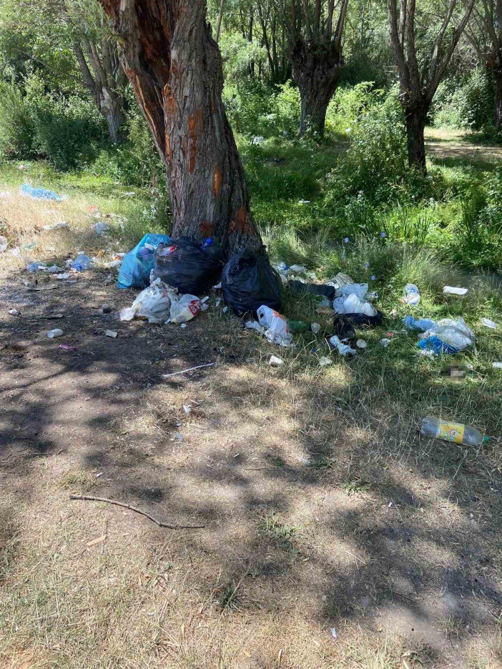 Piknik tamamen yasaklansın, çünkü yapmayı bilmiyoruz