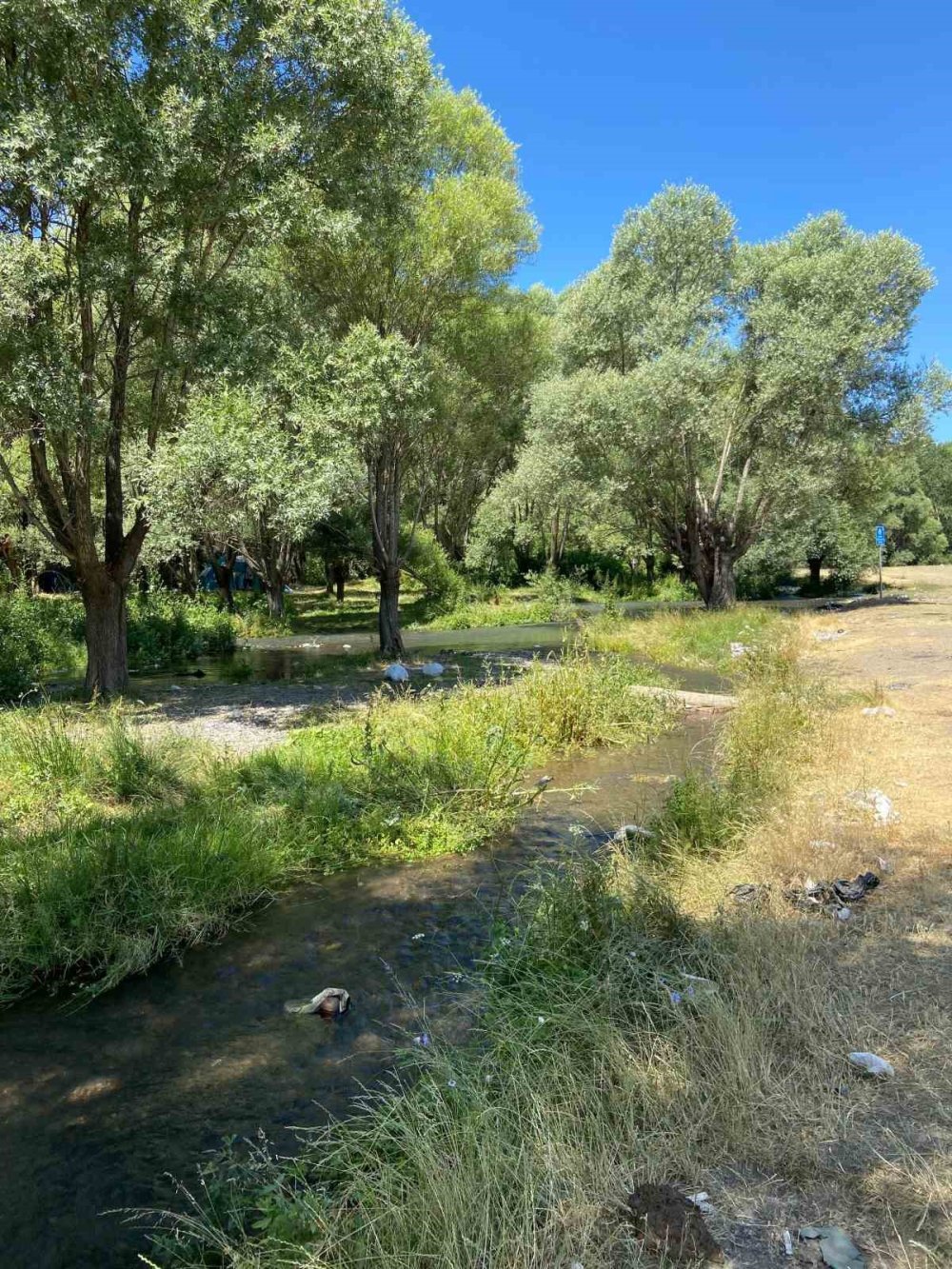 Piknik tamamen yasaklansın, çünkü yapmayı bilmiyoruz