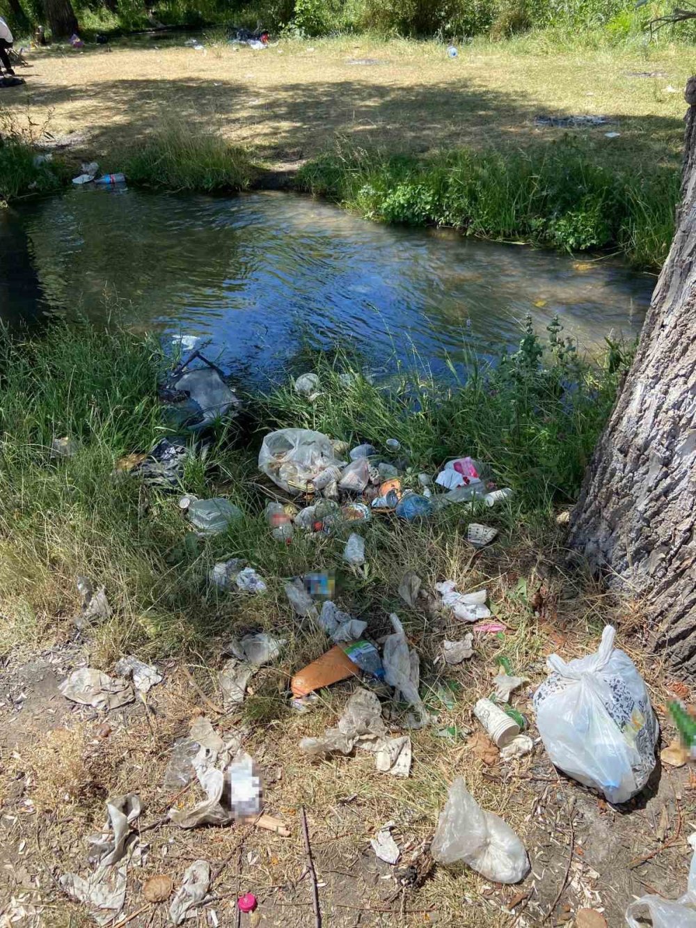 Piknik tamamen yasaklansın, çünkü yapmayı bilmiyoruz