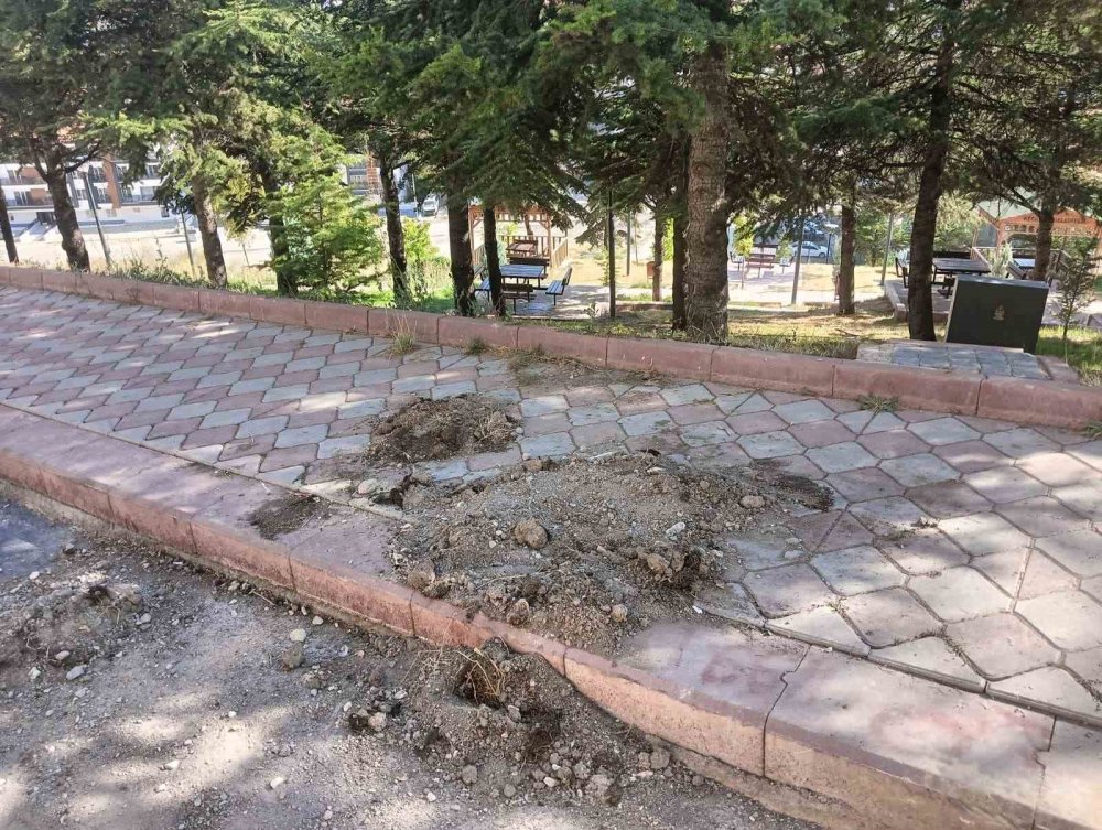 Yol Yapımında Feci Kaza: 19 Yaşındaki Belediye İşçisi Elektrik Akımına Kapıldı