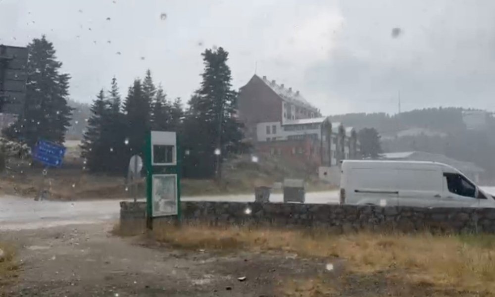 10 dakikalık yaz yağmuru doğayı serinletti