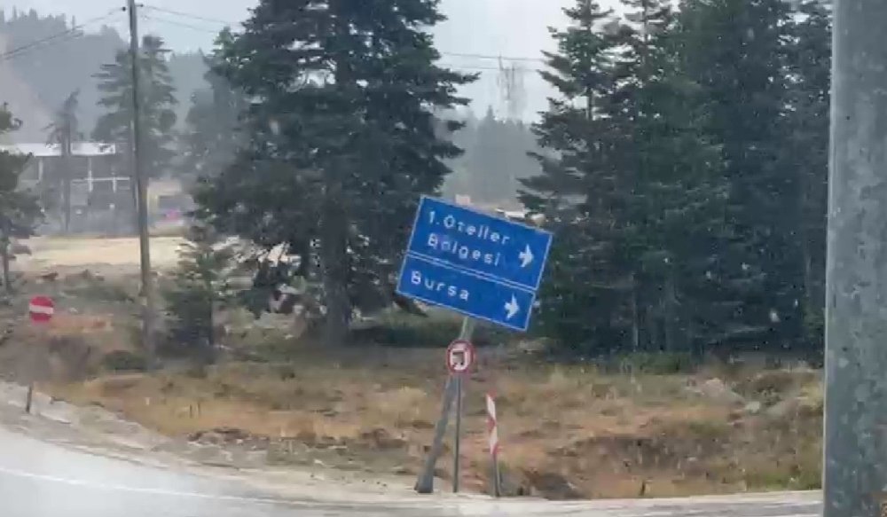 10 dakikalık yaz yağmuru doğayı serinletti