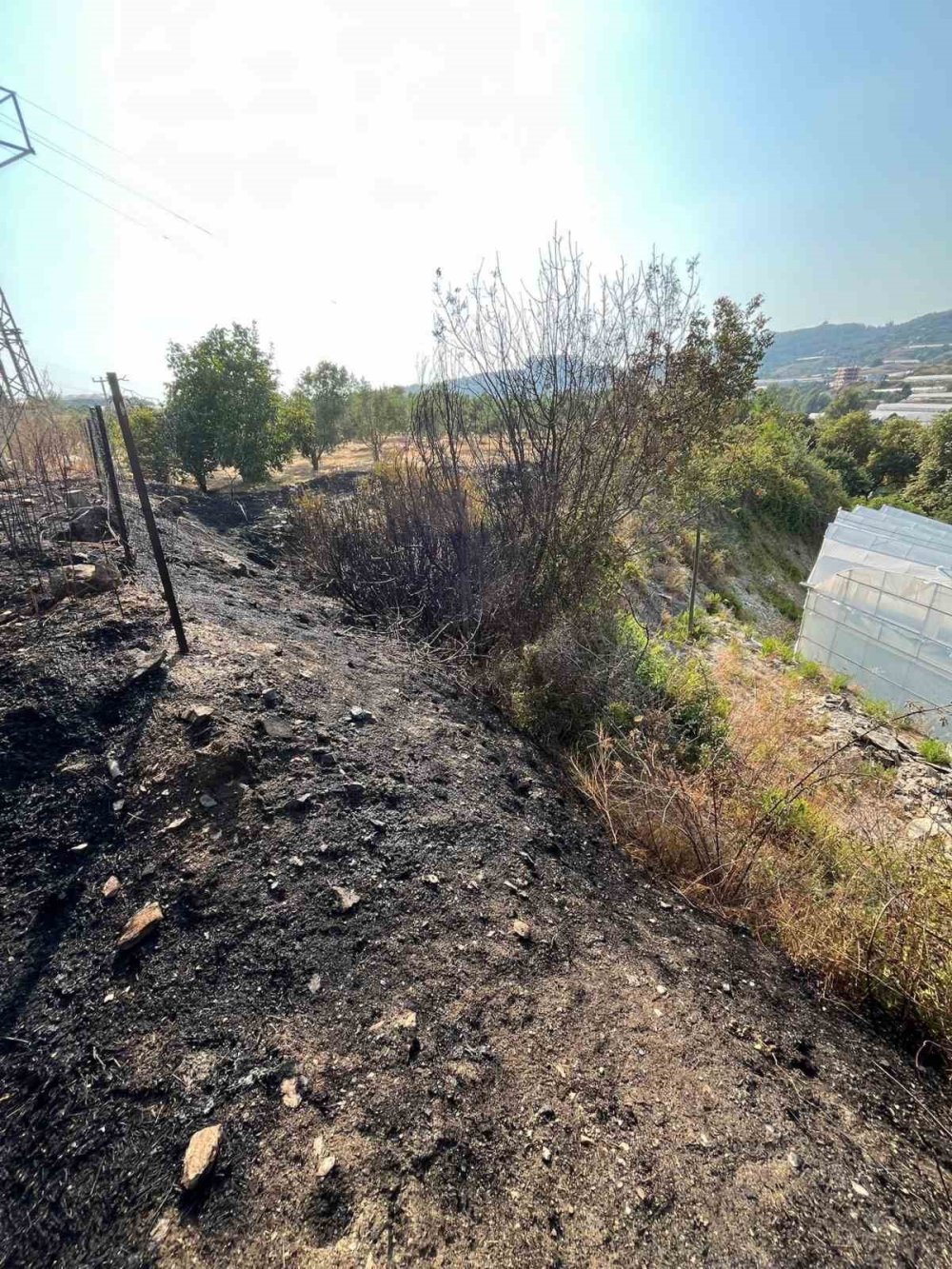 Otluk alanda çıkan yangın korkuttu: Hızlı müdahale felaketi önledi