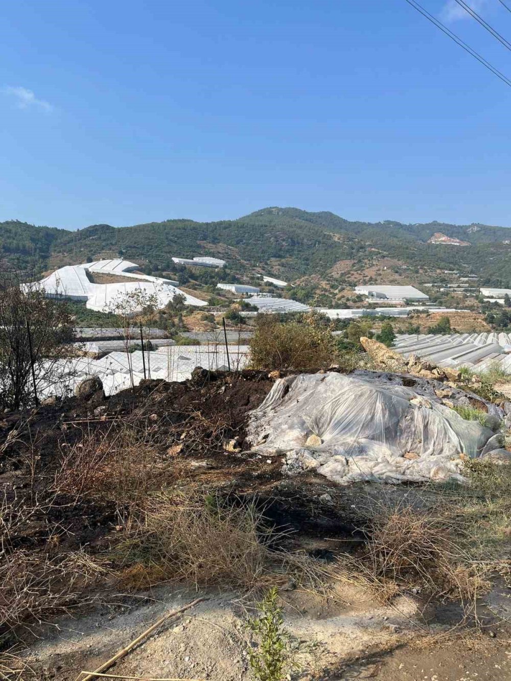 Otluk alanda çıkan yangın korkuttu: Hızlı müdahale felaketi önledi