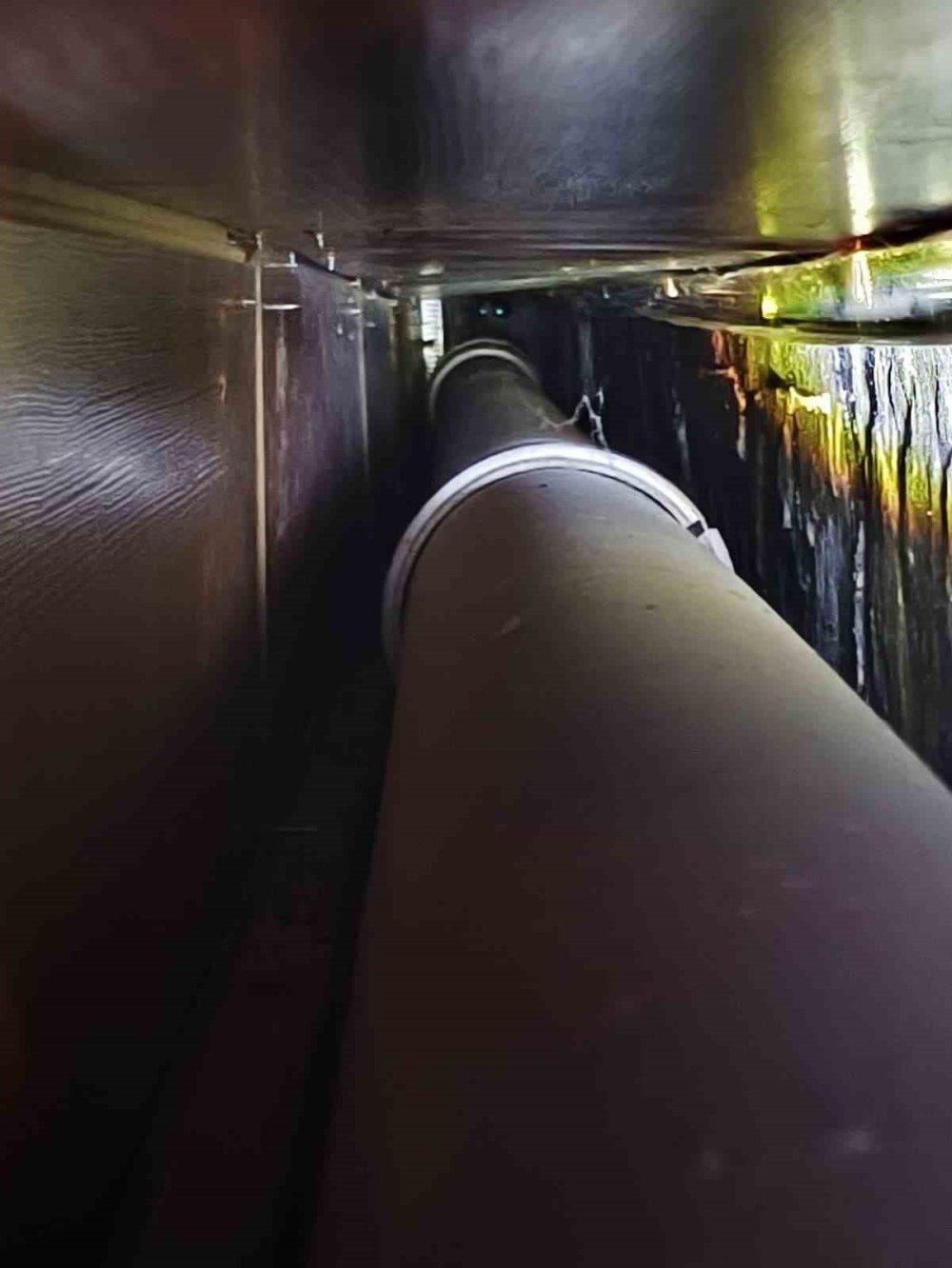 Tam dükkanı kapatacakken sesi duydular