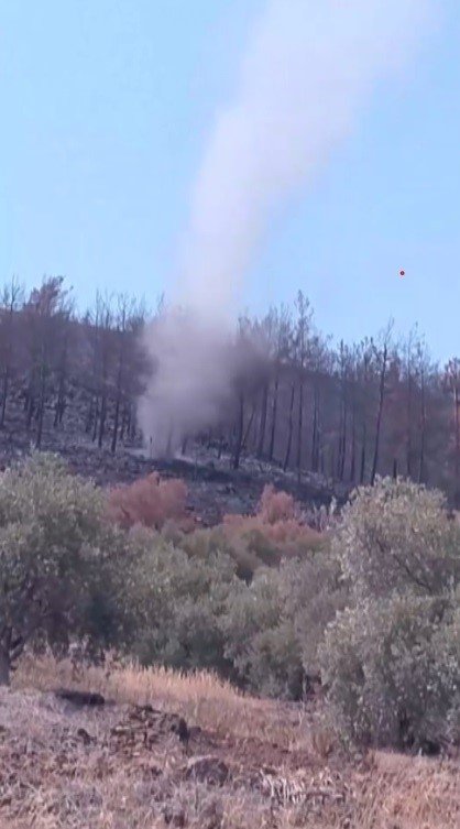 Yangın sonrası küle dönen ormanda hortumlar oluştu