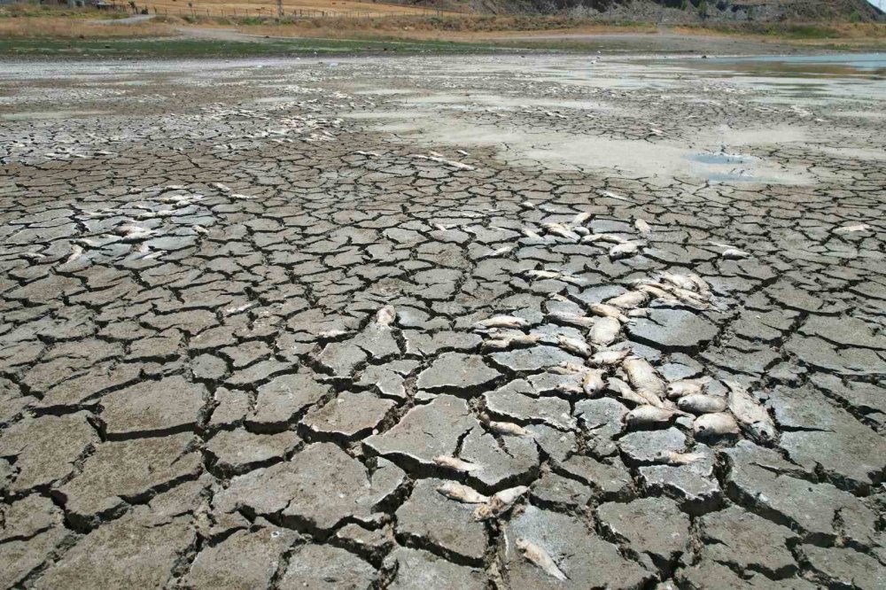 Kızılca Göleti’nin son hali içler acısı