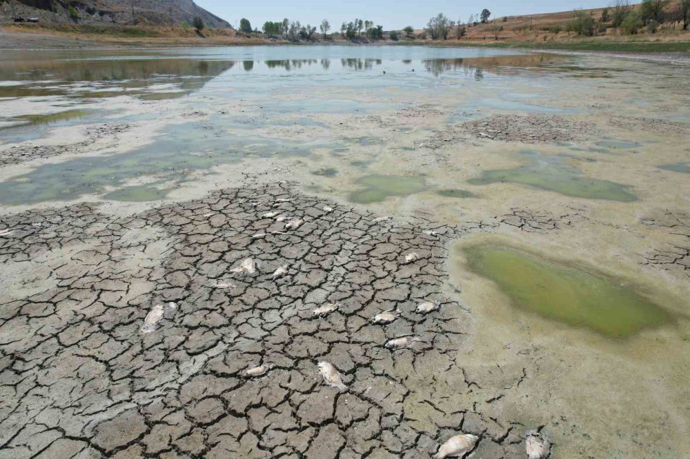Kızılca Göleti’nin son hali içler acısı