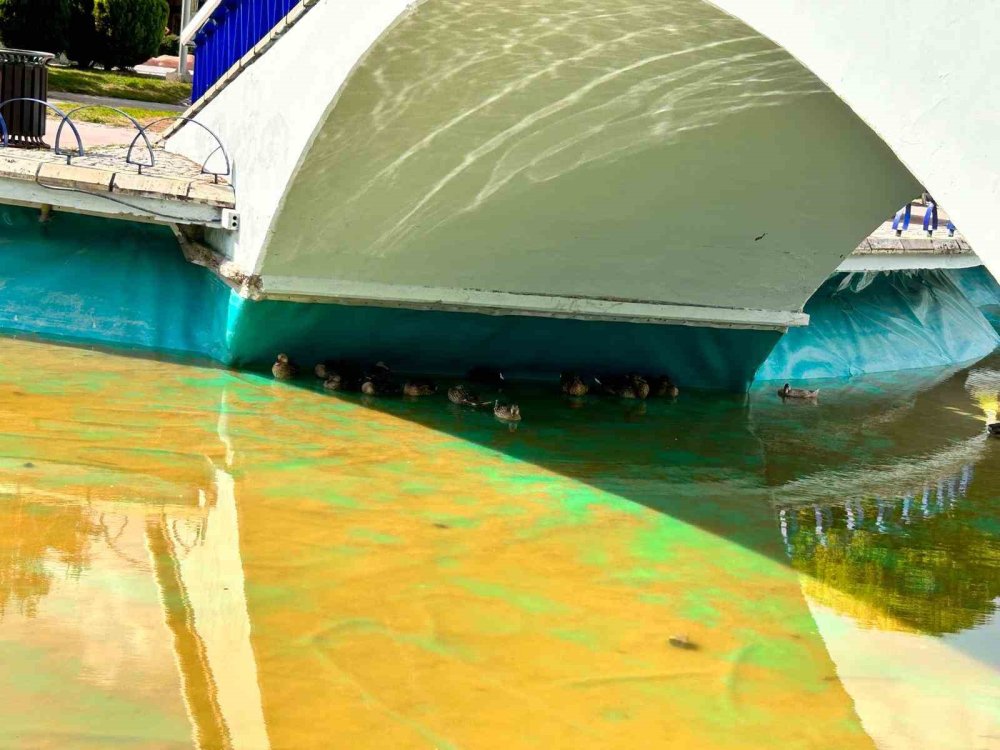 Ankara Harikalar Diyarı'nı Geri İstiyor Mansur Yavaş Ayak Diriyor