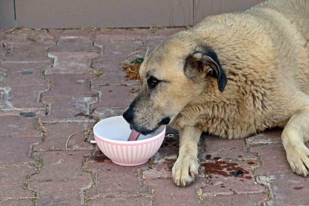 Konya'nın Dibi Yanıyor