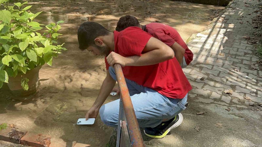 45 Derece Sıcakta İlginç Çözüm: Telefonları Suda Soğuttular