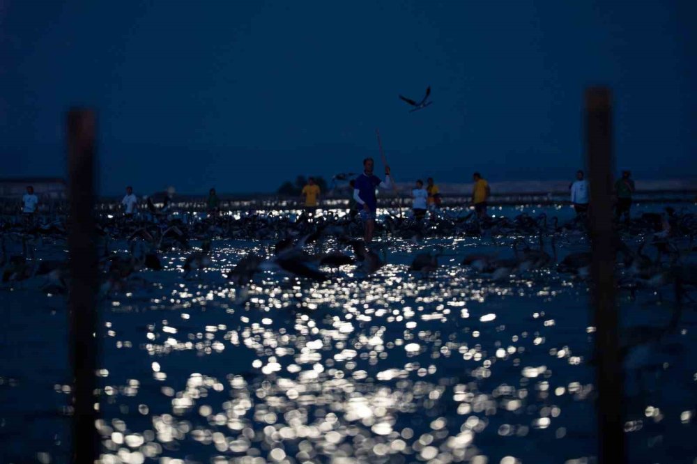 İzmir Gediz Deltası’nda Flamingolar Halkalandı: Biyoçeşitlilik ve Su Kaynakları İçin Önemli Adım