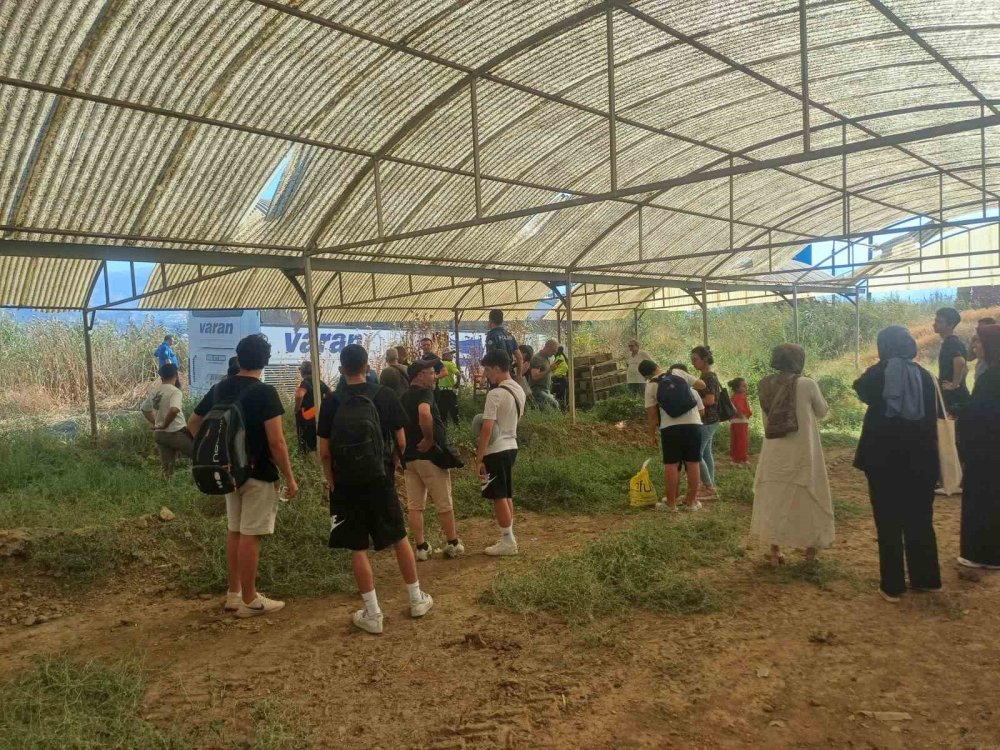 Menzile 'Varan' Olmadı Seraya Sığındılar