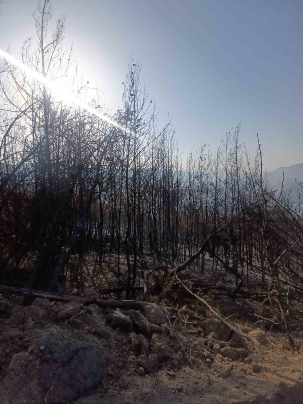 16 saatte kontrol altına alınan yangın 3 gün soğutulacak